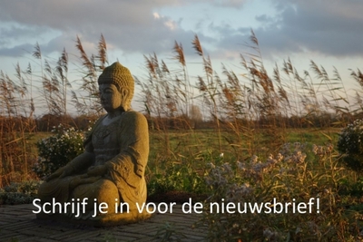 buddha nieuwsbrief.jpg